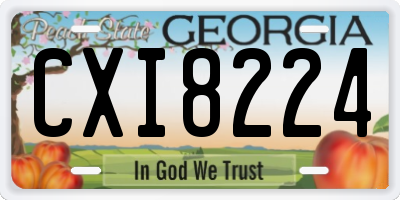 GA license plate CXI8224