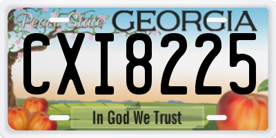 GA license plate CXI8225