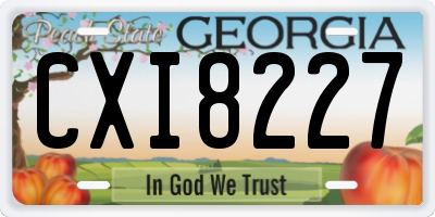 GA license plate CXI8227