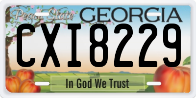 GA license plate CXI8229
