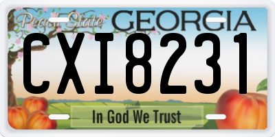 GA license plate CXI8231