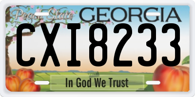 GA license plate CXI8233