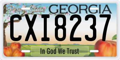 GA license plate CXI8237