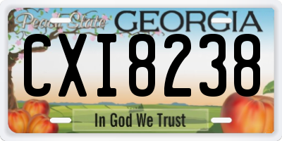 GA license plate CXI8238