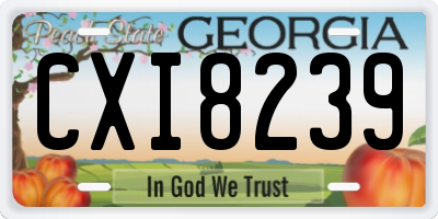 GA license plate CXI8239