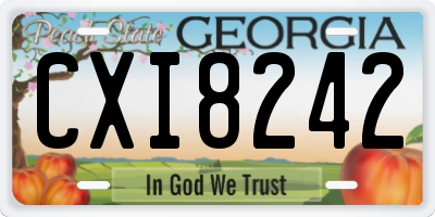 GA license plate CXI8242