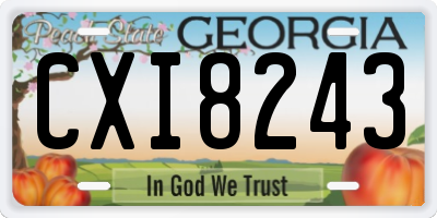 GA license plate CXI8243