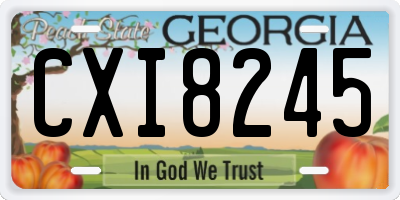 GA license plate CXI8245