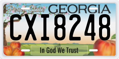GA license plate CXI8248