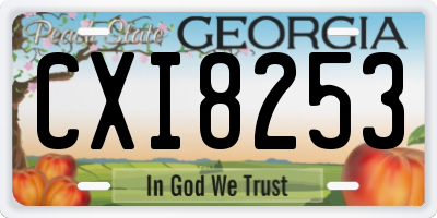 GA license plate CXI8253