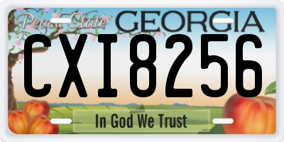GA license plate CXI8256