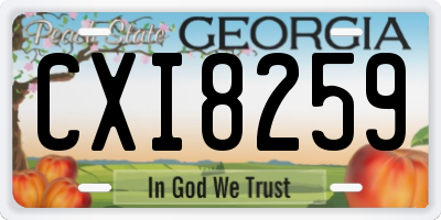 GA license plate CXI8259