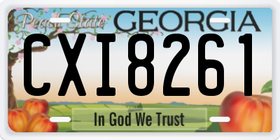 GA license plate CXI8261