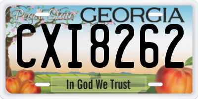 GA license plate CXI8262