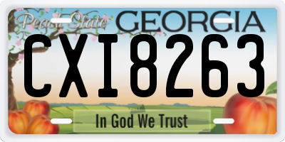 GA license plate CXI8263