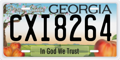 GA license plate CXI8264