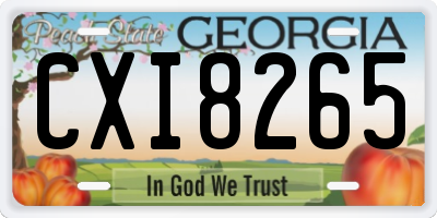 GA license plate CXI8265