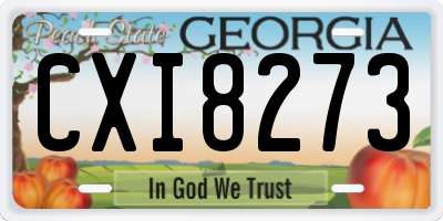 GA license plate CXI8273