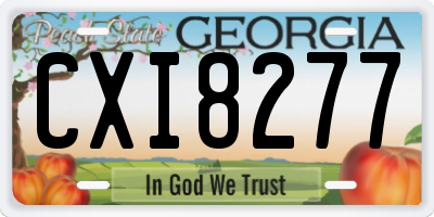 GA license plate CXI8277