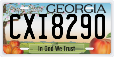 GA license plate CXI8290