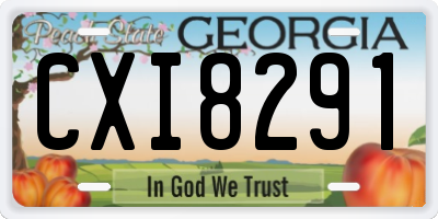 GA license plate CXI8291