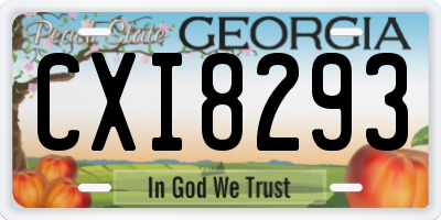 GA license plate CXI8293