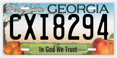GA license plate CXI8294