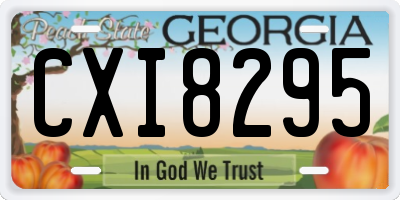 GA license plate CXI8295