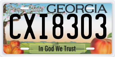 GA license plate CXI8303