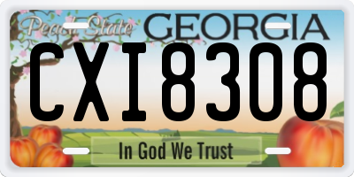 GA license plate CXI8308
