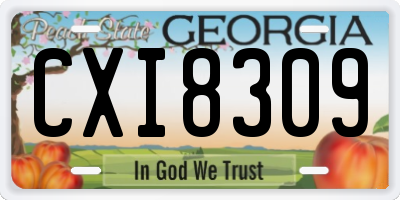 GA license plate CXI8309