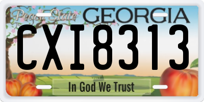 GA license plate CXI8313