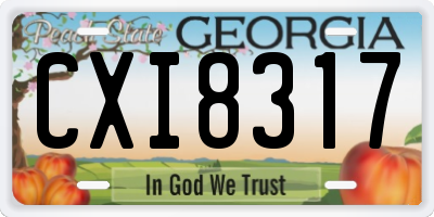 GA license plate CXI8317