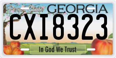 GA license plate CXI8323