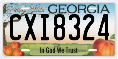 GA license plate CXI8324