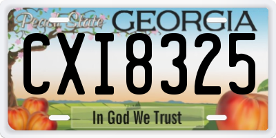 GA license plate CXI8325