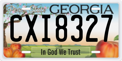 GA license plate CXI8327