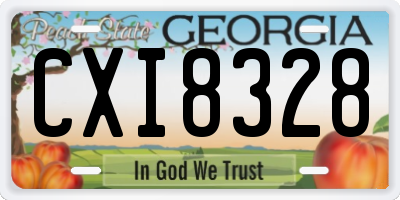 GA license plate CXI8328