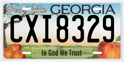 GA license plate CXI8329