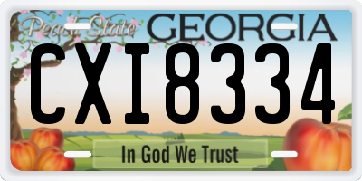 GA license plate CXI8334
