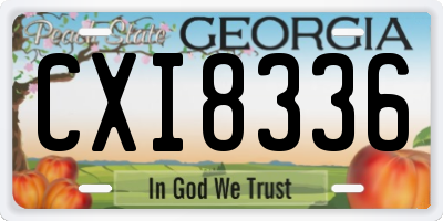 GA license plate CXI8336
