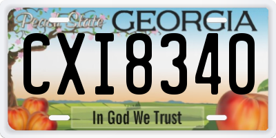 GA license plate CXI8340