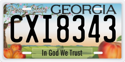 GA license plate CXI8343