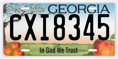 GA license plate CXI8345