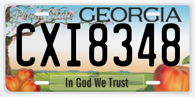 GA license plate CXI8348