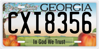 GA license plate CXI8356