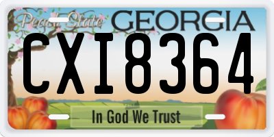 GA license plate CXI8364