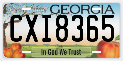 GA license plate CXI8365