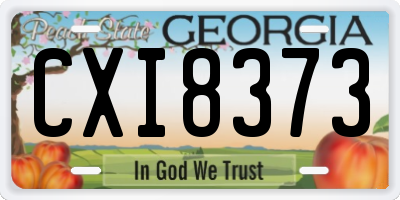 GA license plate CXI8373