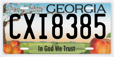 GA license plate CXI8385